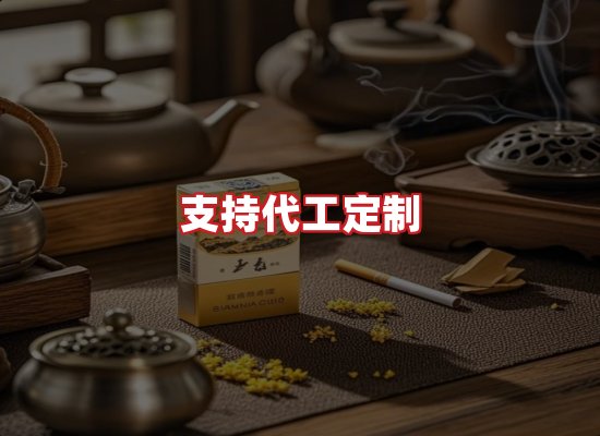 专业团队